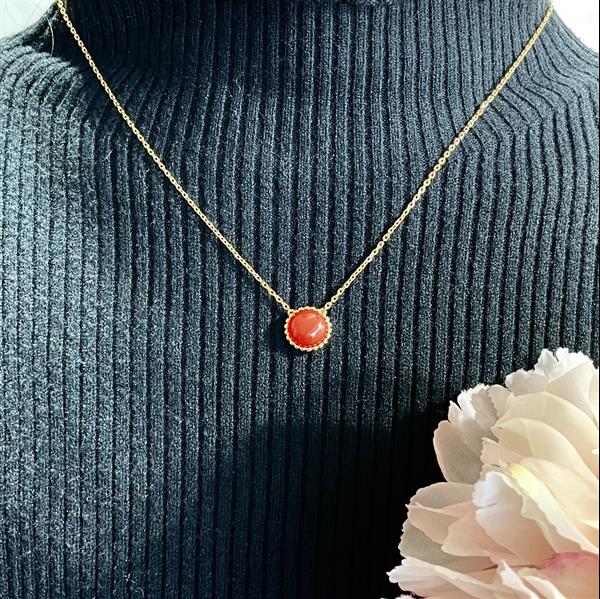 202427165328715 120140